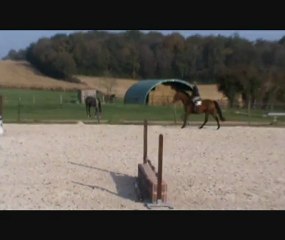 jolie fleur saut monté