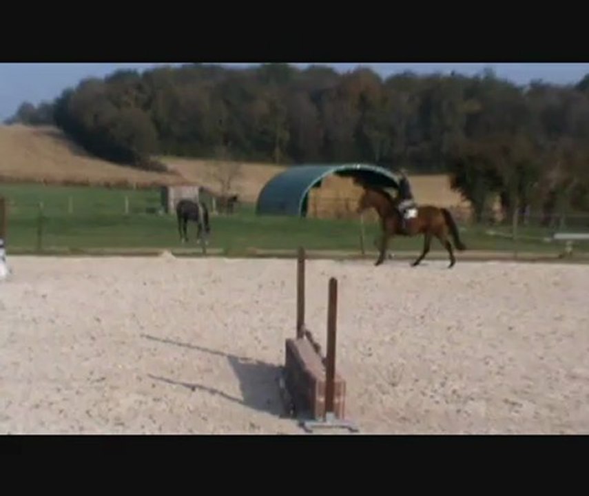 jolie fleur saut monté