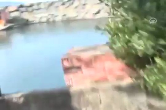 Boğa denize düştü