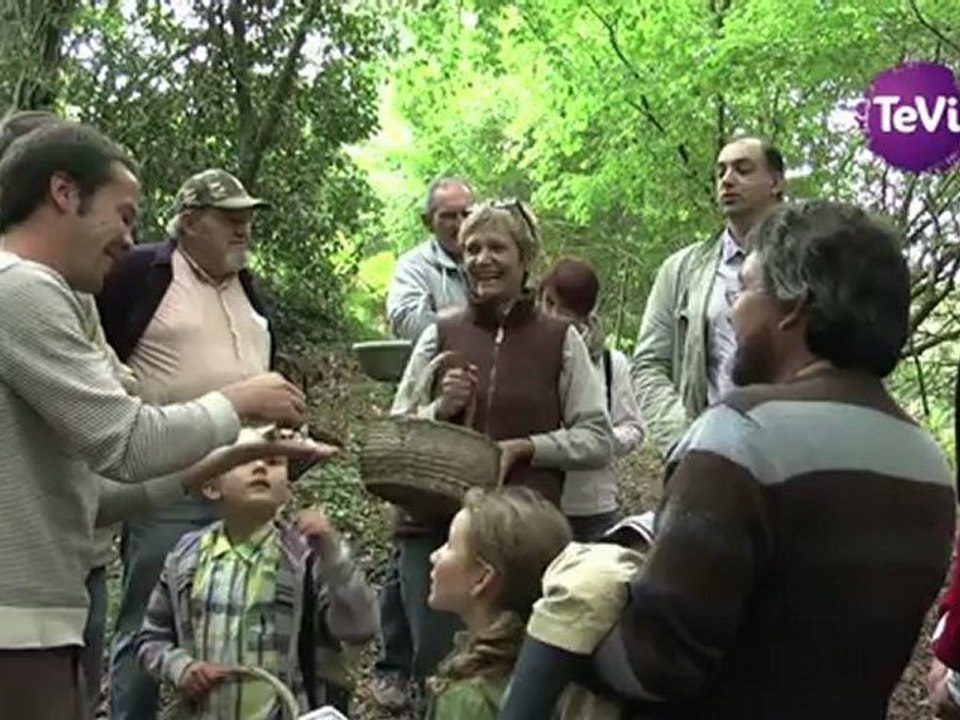 25 octobre 2012 - La cueillette des champignons (Association AVRIL)