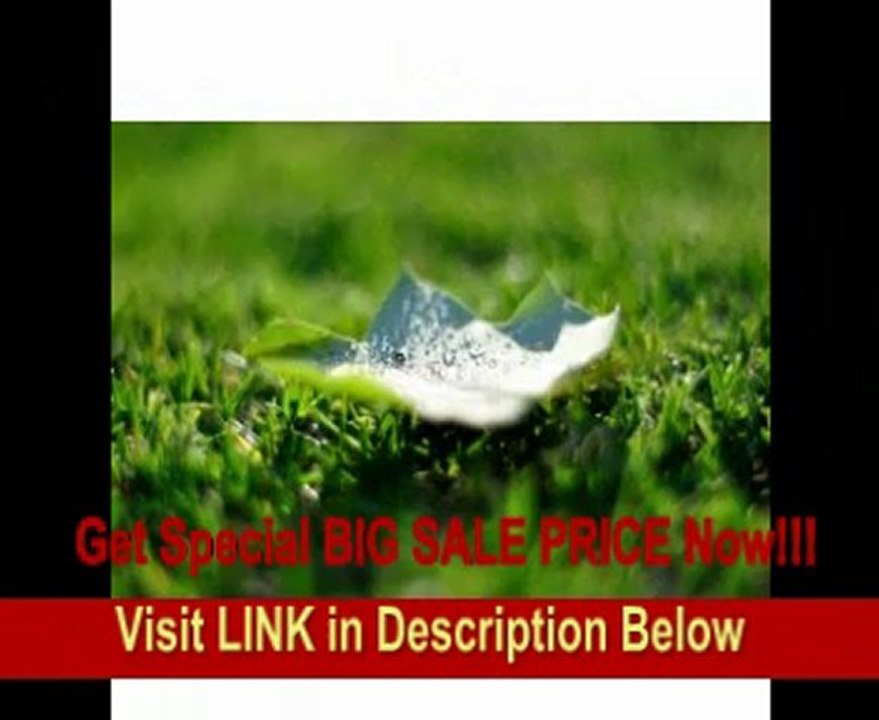 Zeiss 50mm f/1.4 Planar T ZF.2 Series Manual Focus Lens for the Nikon F (AI-S) Bayonet SLR System