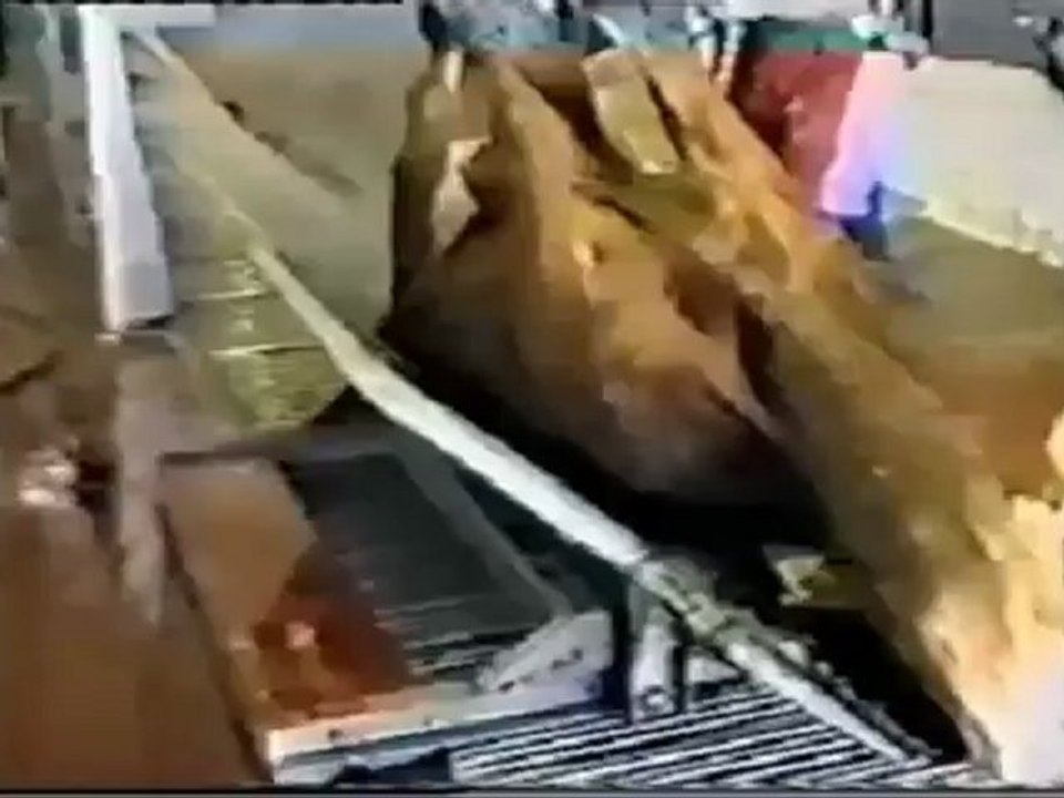 5 razones para comerte a tu perro(360p_H.264-AAC)
