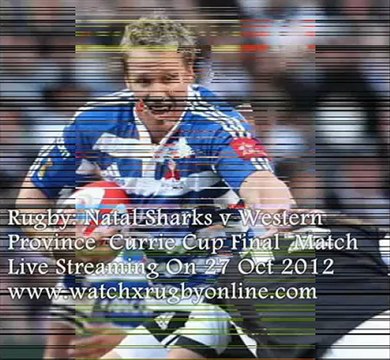 Watch Rugby Currie Cup Final Live Online Natal Sharks vs Western Province