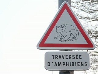 Crapauduc : Comment ça marche ?