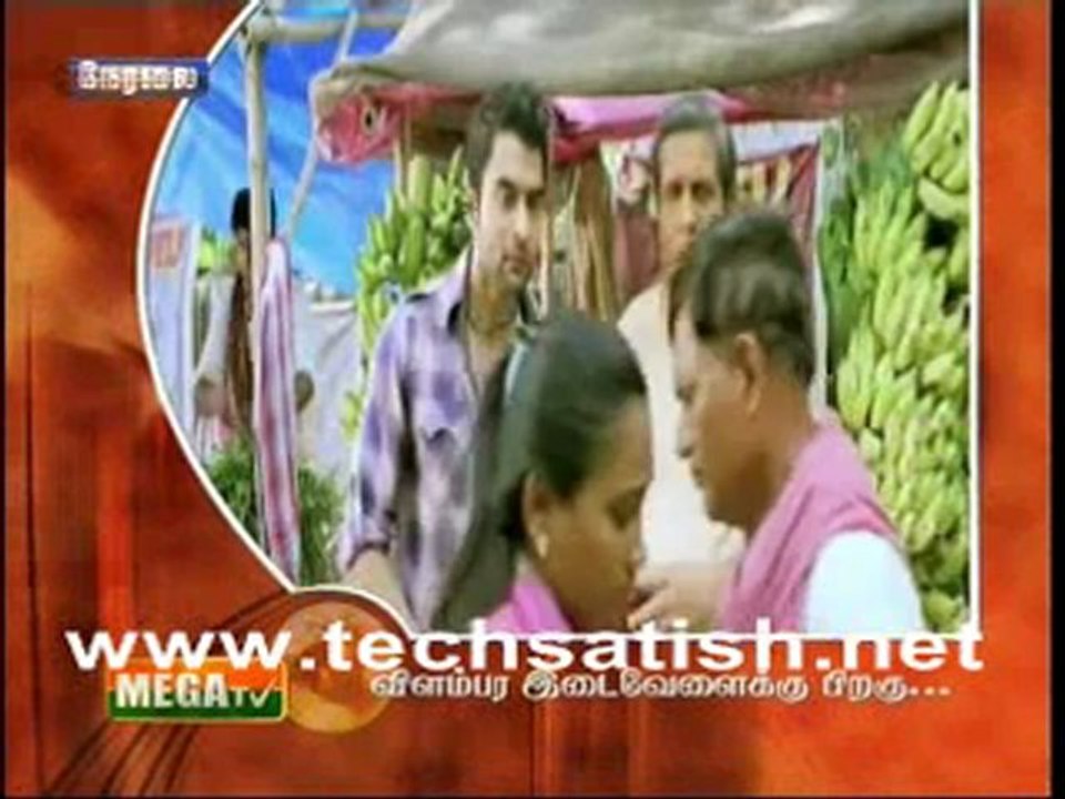 Mega Tv News