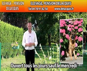 Pension canine rhone