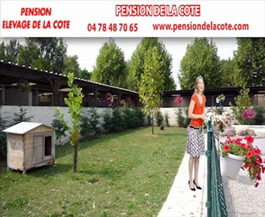 Berger allemand rhone alpes