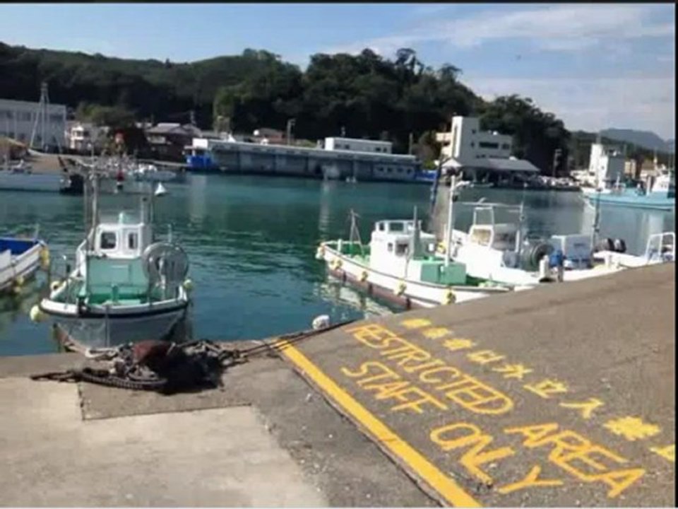 Taiji 25-10-2012