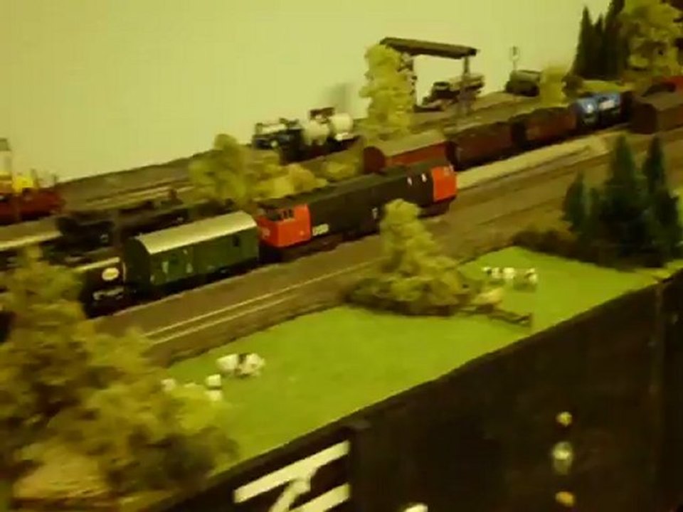 Durchfahrt Güterzug der DSB