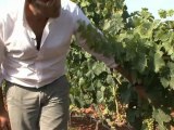 Rubino pairs his Puglia wines with local cuisine