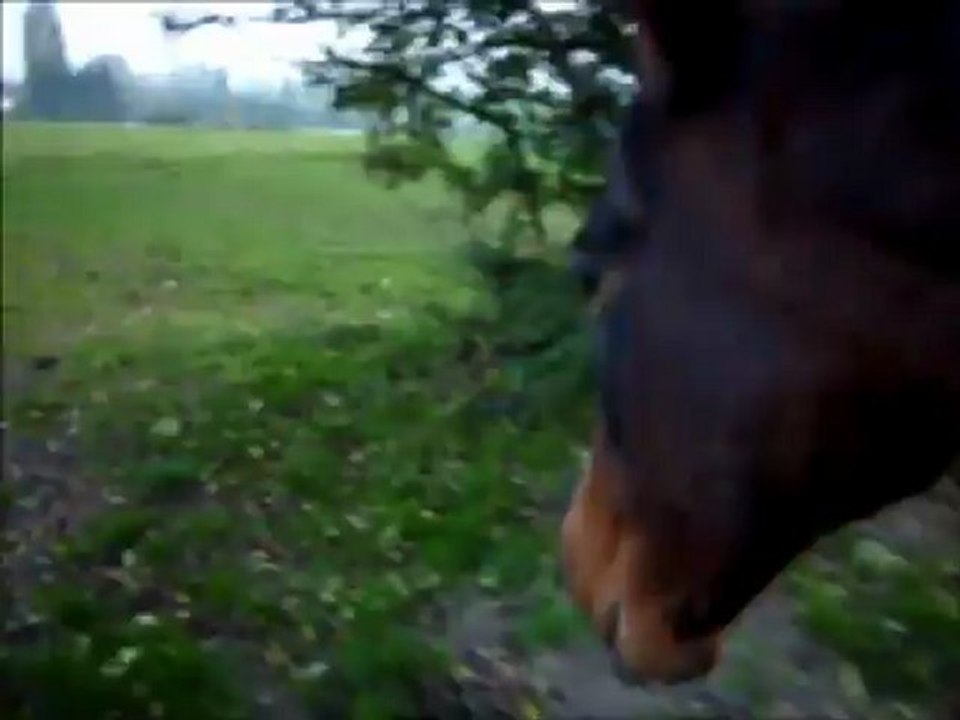 Cadence et sa folie des 22 ans =D