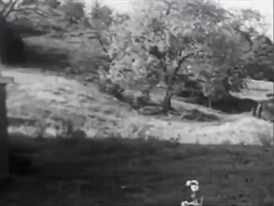 The Old Dogs of Music This Year (2012) Part 1