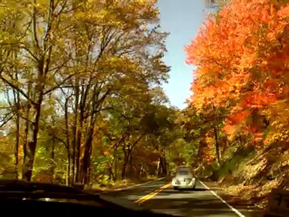 Classic VW BuGs 2012 Fall Foliage Air-Cooled Beetle Cruise Convoy