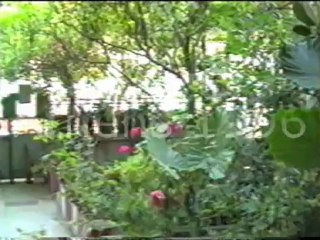 Τα φοιτητικά﻿ μας χρόνια!!!!