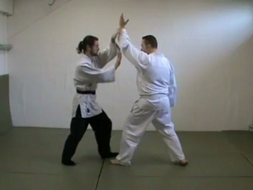 Shomen uchi ikkyo omote ki no nagare