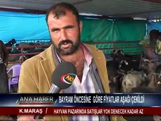HAYVAN PAZARINDA SATIŞLAR YOK DENECEK KADAR AZ