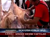 KAÇAK KURBAN KESİMLERİ YAPILDI