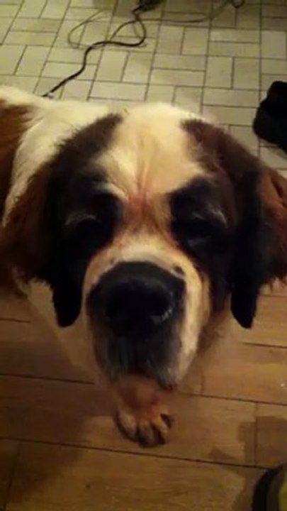 Echappée belle_25oct12