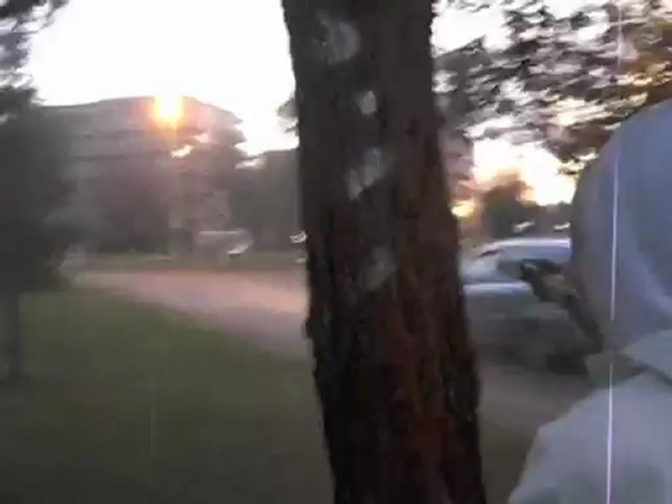 Décapage par aérogommage - Suppression Graffiti - Arbre - Verrieres Le Buisson