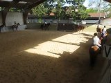 équitation