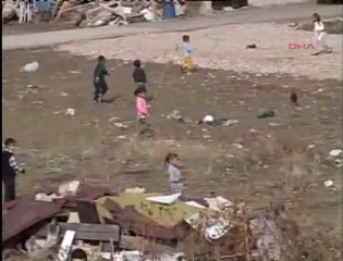 Kaçan Boğayı Pompalı Tüfekle Vurdular