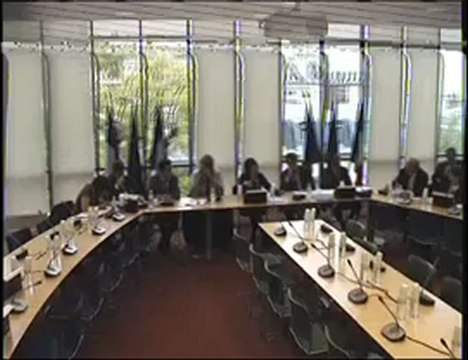 Com Aff Europ 17 octobre 2012 Audition S LE FOLL