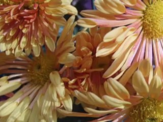 ЕСЕННА ПРИНЦЕСА - Autumn Princess