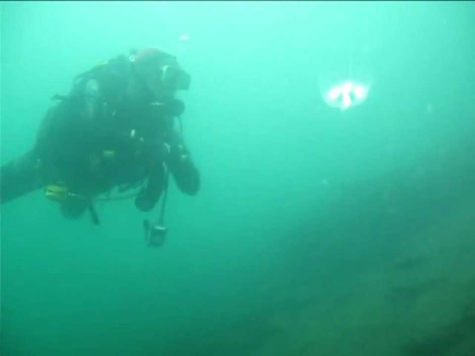 PLONGEES BIO TRELAZE