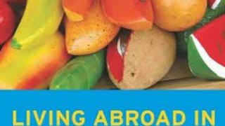Travel Book Review: Moon Living Abroad in Nicaragua by Joshua Berman, Randall Wood