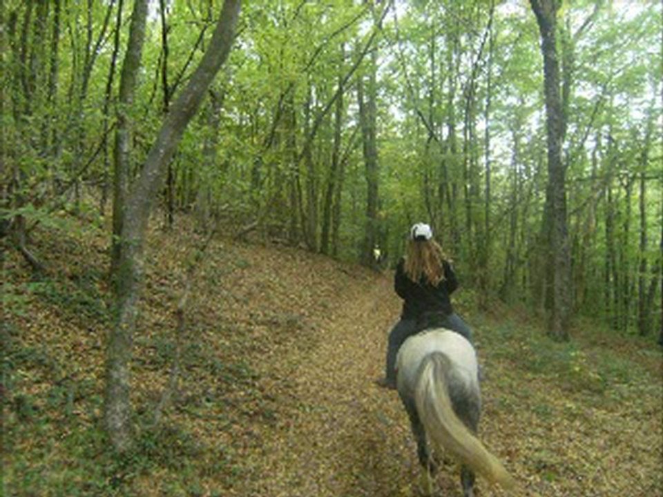 Les Monts du Lyonnais 2012