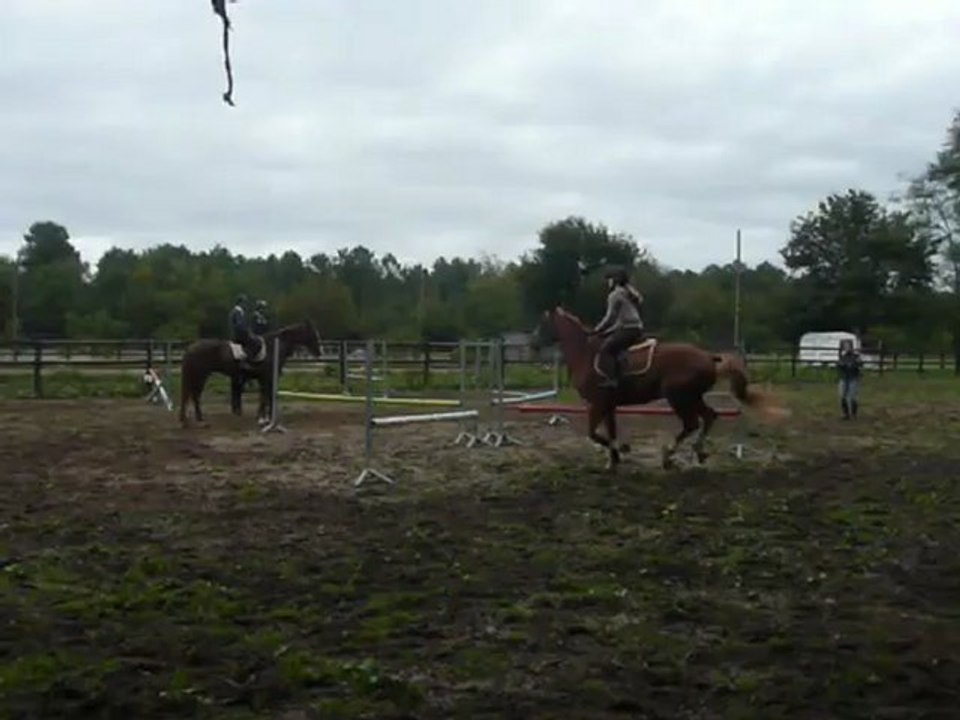 Uno et moi, cours de CSO, 13 octobre 3.