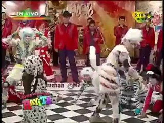 Gatos vs Perros en Acábatelo