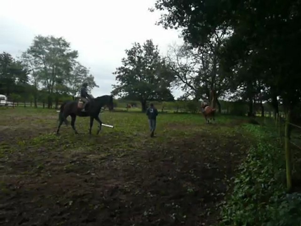 Moi et Uno, cours CSO, 13 octobre 2.