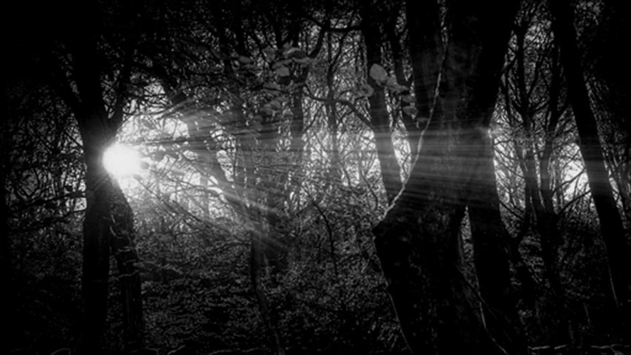 Michael Strauss - Rays Of The Sun (Marc Zimmermann Remix)