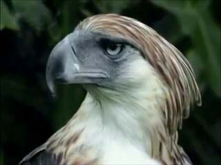 u.f.o. and e.t. activity 2012: part 77 - 1st jan to 26th oct