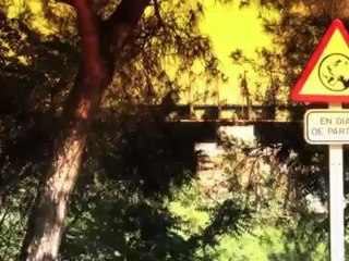 FALCAO- #UNTIGREDEORO. Bienvenidos al Vicente Calderón, la casa del Tigre