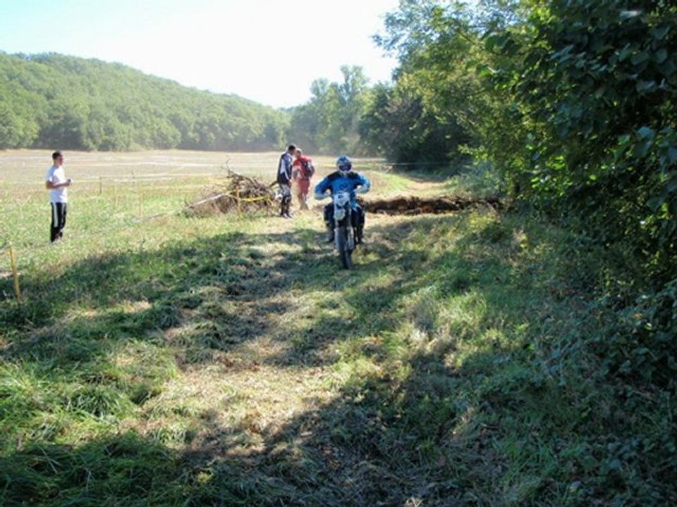 DENAT 2012