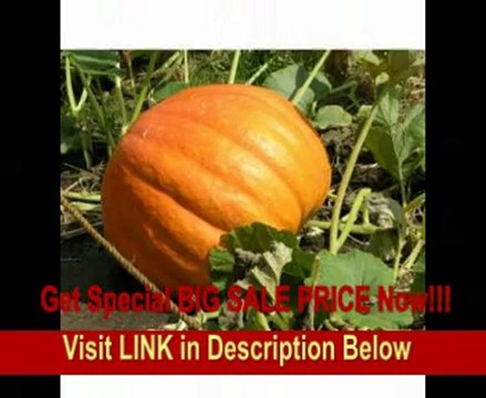 Sony HDR-XR500V 120GB HDD High Definition Camcorder w/12x Optical Zoom