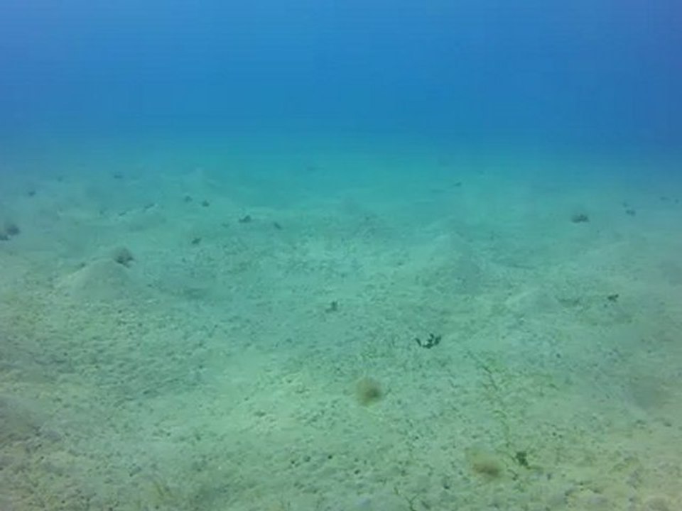 GOPR0736