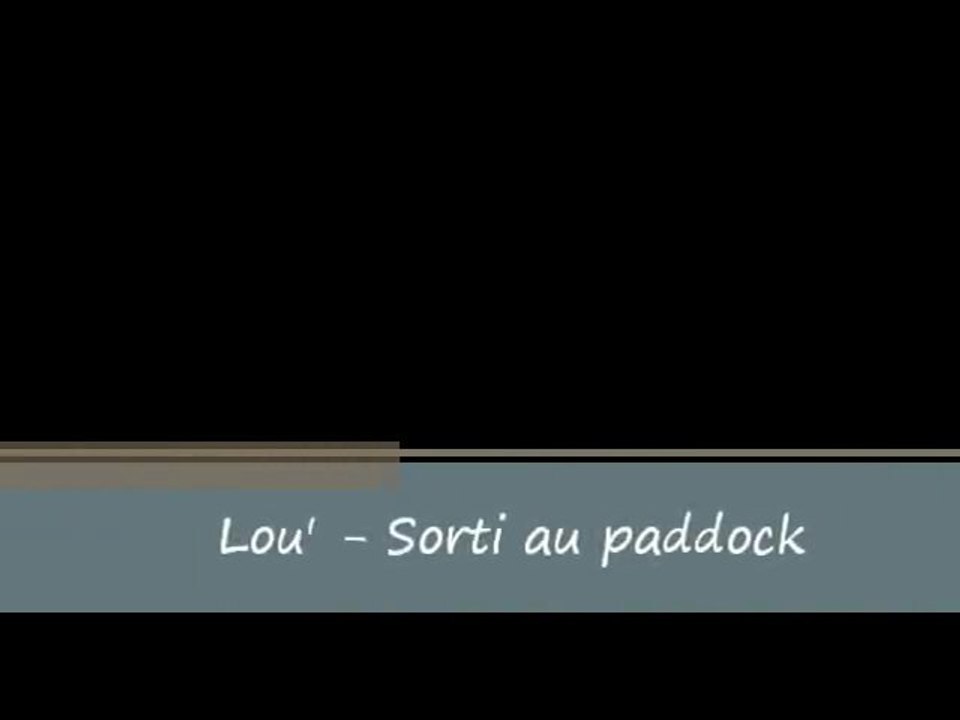 Lou' - Sorti au paddock