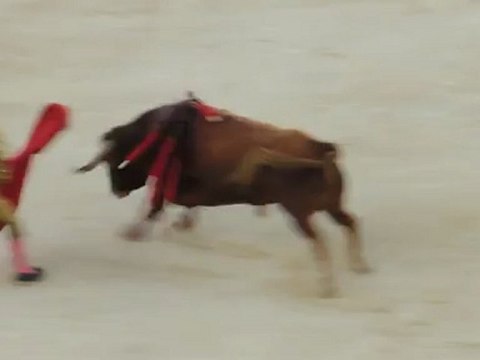 JAVIER CASTANO FACE A UN MARGÉ vendanges 2012