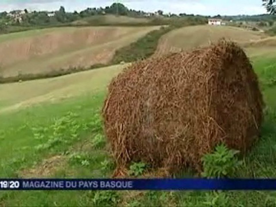 Récoltes d'automne