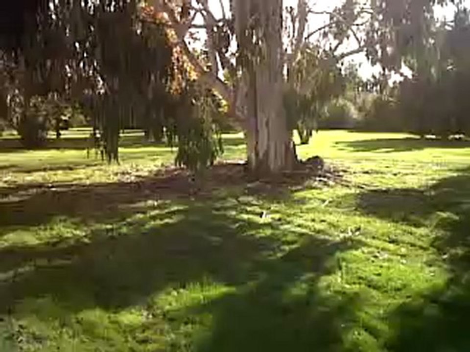 VID 00062-20121027-1457