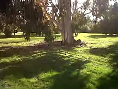 VID 00062-20121027-1457