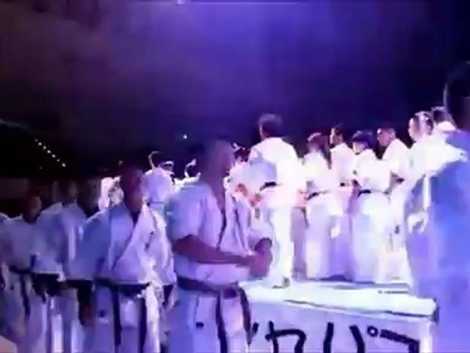 Présentation Des Combattants