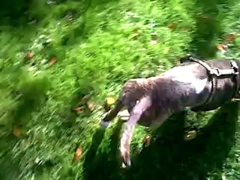 VID 00061-20121027-1457