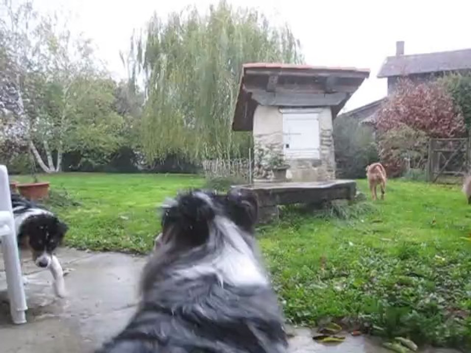 Première neige!