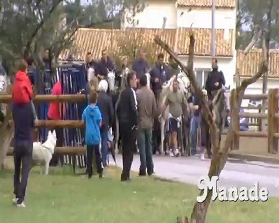 Aigues-Mortes 2012  2-2