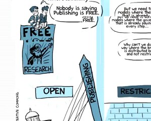 What is open access?
