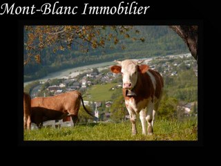 Saint-Gervais Mont-Blanc. été 2010.